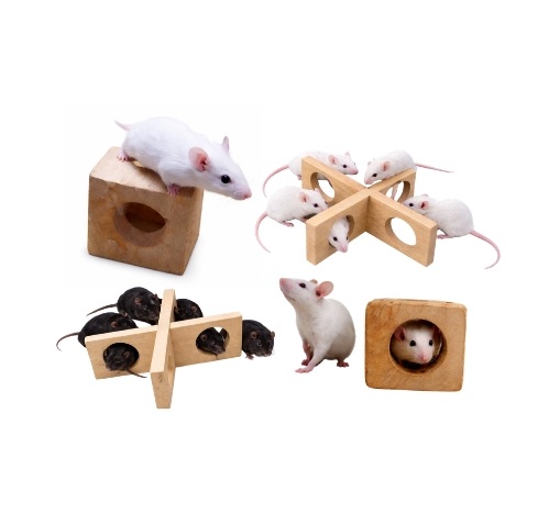 enrichment-devices-for-small-rodents